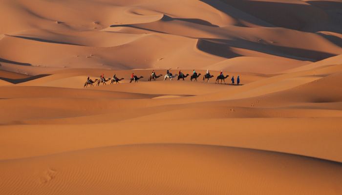 Excursion dans le désert