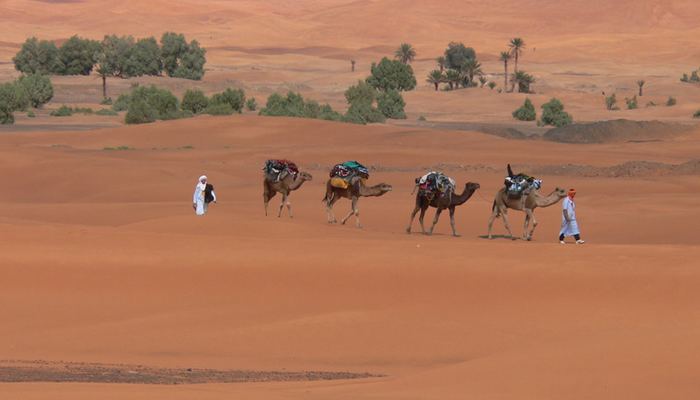 Découvrez la magie du désert