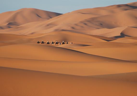 Camels Excursions