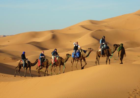 Camels Excursions