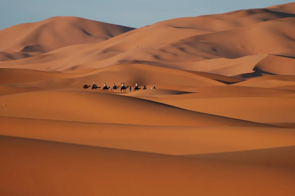 Camels Excursions