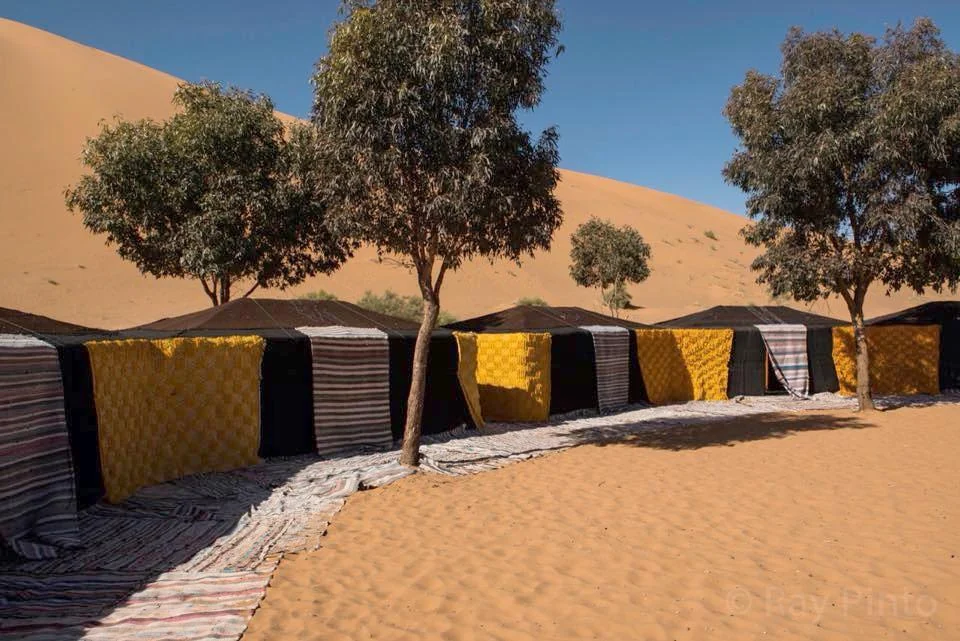 Bivouac