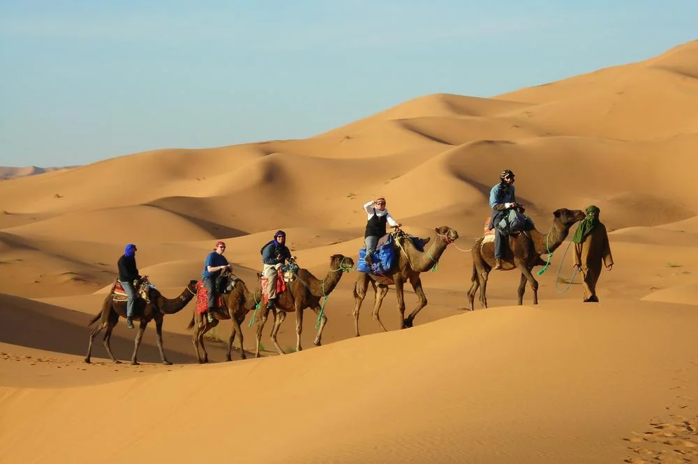 Camel rides